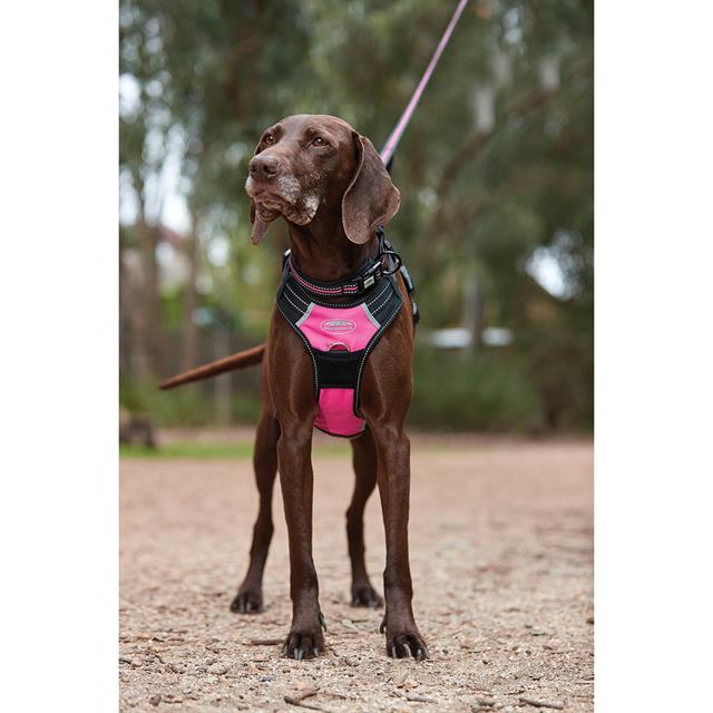 Hundegeschirr Anti Pull WeatherBeeta Black-Pink