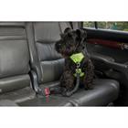 Hundegeschirr Anti Pull WeatherBeeta Black-Yellow