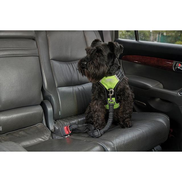Hundegeschirr Anti Pull WeatherBeeta Black-Yellow