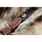 Hundehalsband aus Glattleder Dy'on Brown