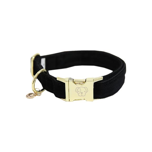 Hundehalsband Corduroy Kentucky Black