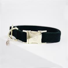 Hundehalsband Corduroy Kentucky Green