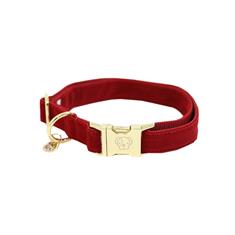 Hundehalsband Corduroy Kentucky Red