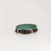 Hundehalsband Jacquard Kentucky Green