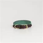 Hundehalsband Jacquard Kentucky Green