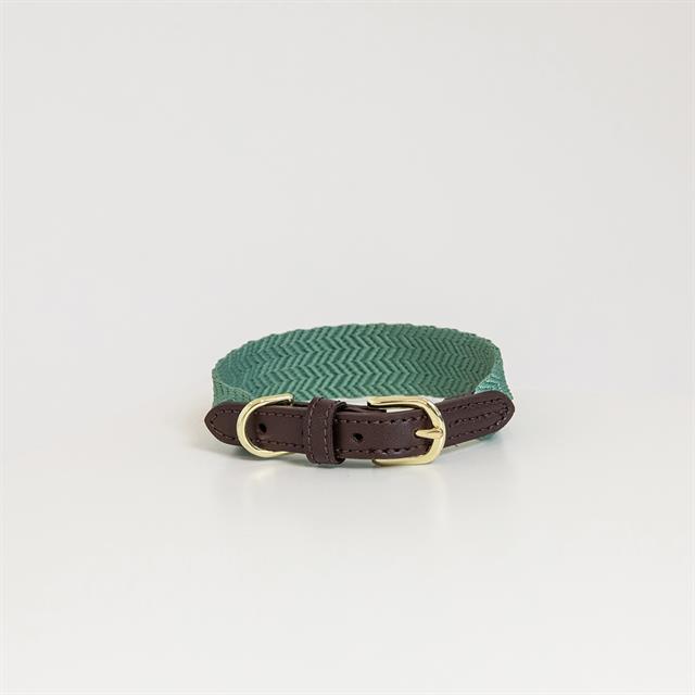 Hundehalsband Jacquard Kentucky Green