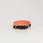 Hundehalsband Jacquard Kentucky Light Red