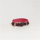 Hundehalsband Jacquard Kentucky Pink