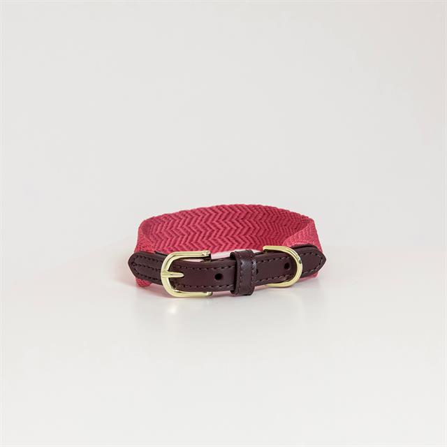 Hundehalsband Jacquard Kentucky Pink
