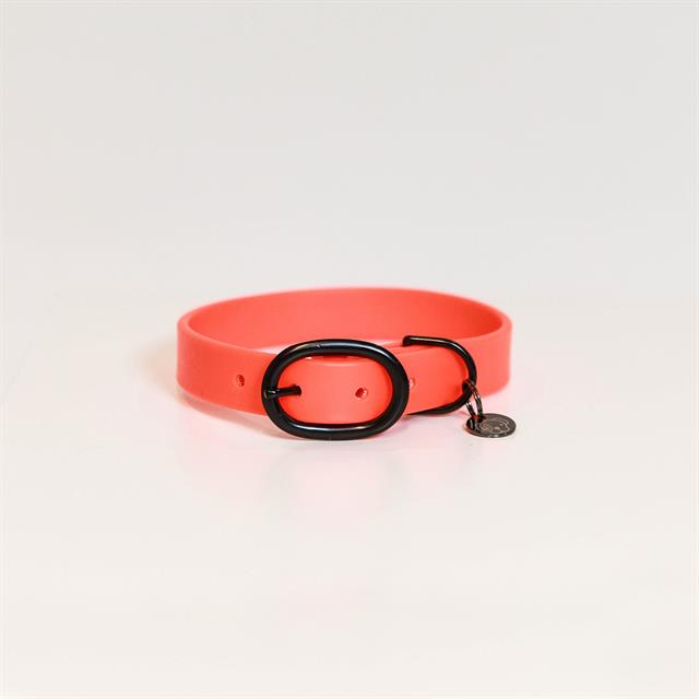 Hundehalsband Soft Rubber Kentucky Orange