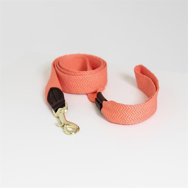 Hundeleine Jacquard Kentucky Orange
