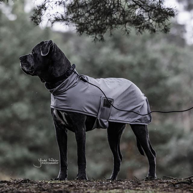 Hundeleine Schleppleine Kentucky Black