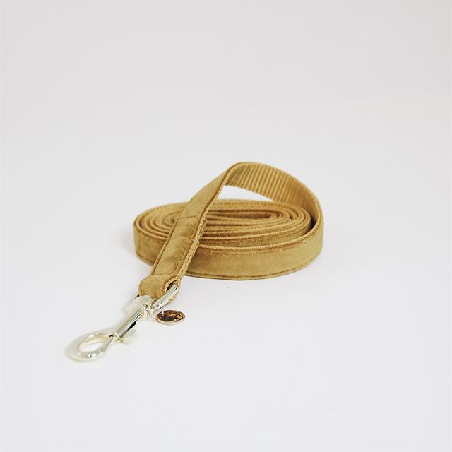 Hundeleine Velvet Kentucky Dark Yellow