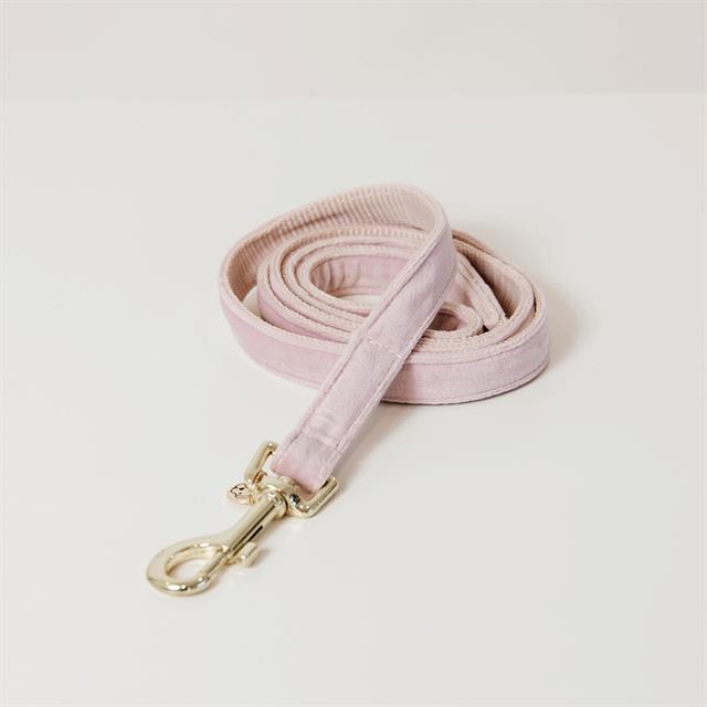 Hundeleine Velvet Kentucky Pink