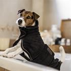 Hundemantel Towel Kentucky Black