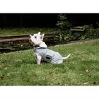 Hundemantel Waterproof 160 g Dackel Kentucky Light Blue