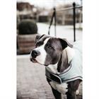 Hundemantel Waterproof 160 g Dackel Kentucky Light Blue