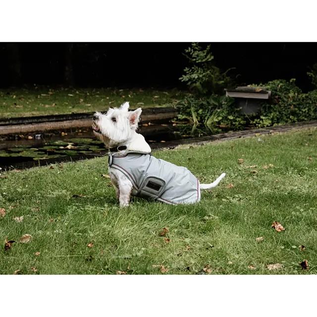 Hundemantel Waterproof 160 g Dackel Kentucky Light Blue