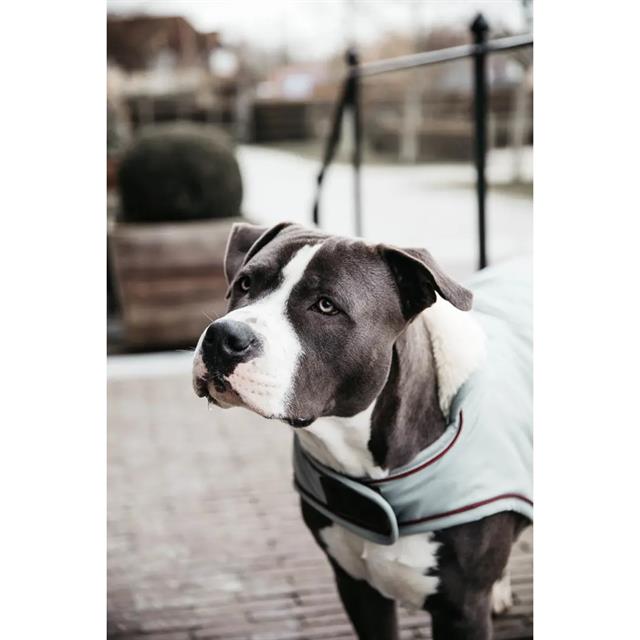 Hundemantel Waterproof 160 g Dackel Kentucky Light Blue