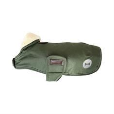 Hundemantel Waterproof Dackel Kentucky Green