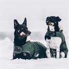 Hundemantel Waterproof Kentucky Green