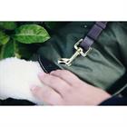 Hundemantel Waterproof Kentucky Green