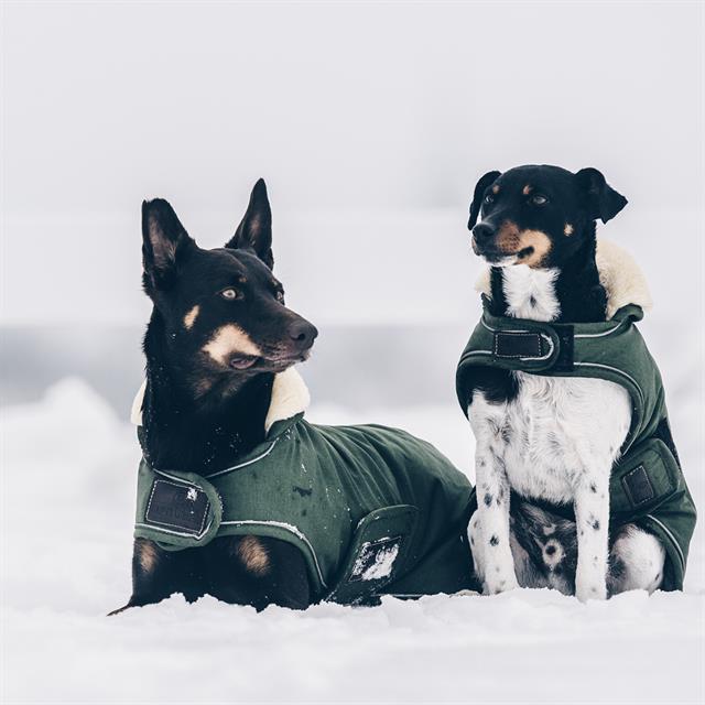 Hundemantel Waterproof Kentucky Green