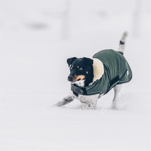 Hundemantel Waterproof Kentucky Green