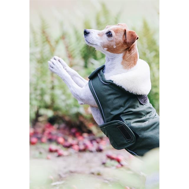 Hundemantel Waterproof Kentucky Green