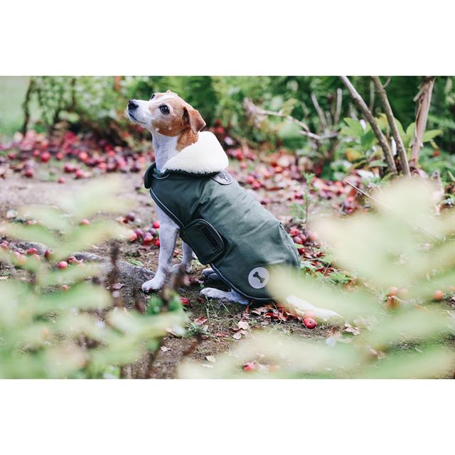 Hundemantel Waterproof Kentucky Green