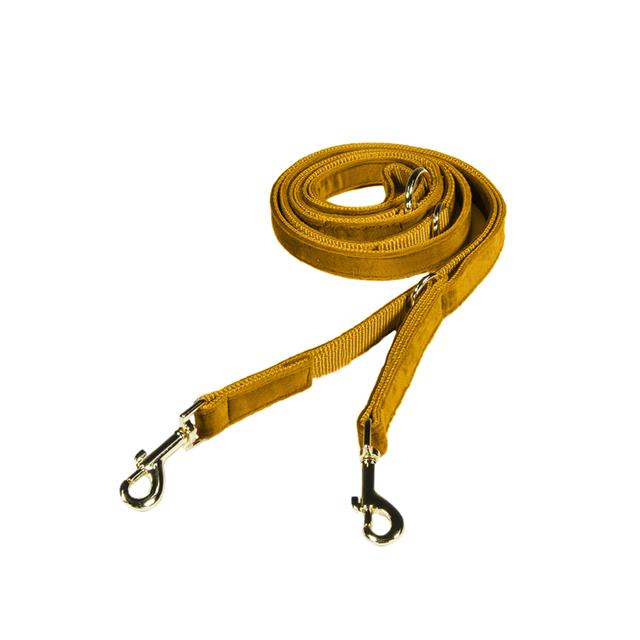 Hundleine Velvet Small Kentucky Dark Yellow