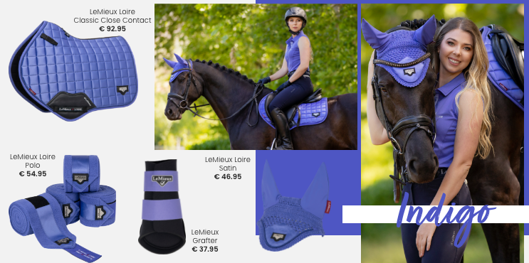 EJ's Look Book Summer 2022 - what color fits your horse best