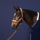 Lead Rope Dy'on New English Collection Mid Brown