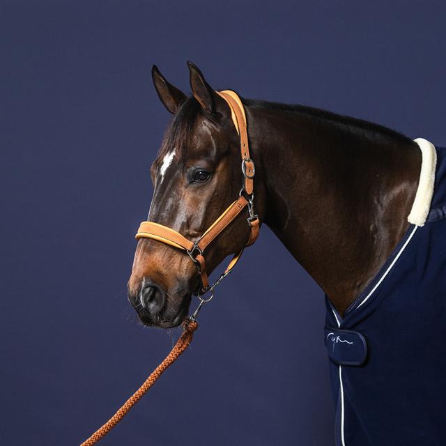 Lead Rope Dy'on New English Collection Mid Brown