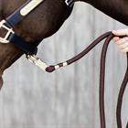 Lead Rope Kentucky Brown