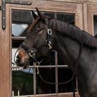 Lead Rope Kentucky Plaited Black