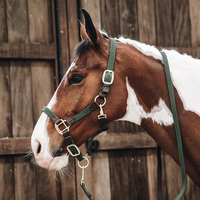 Lead Rope Kentucky Plaited Dark Green