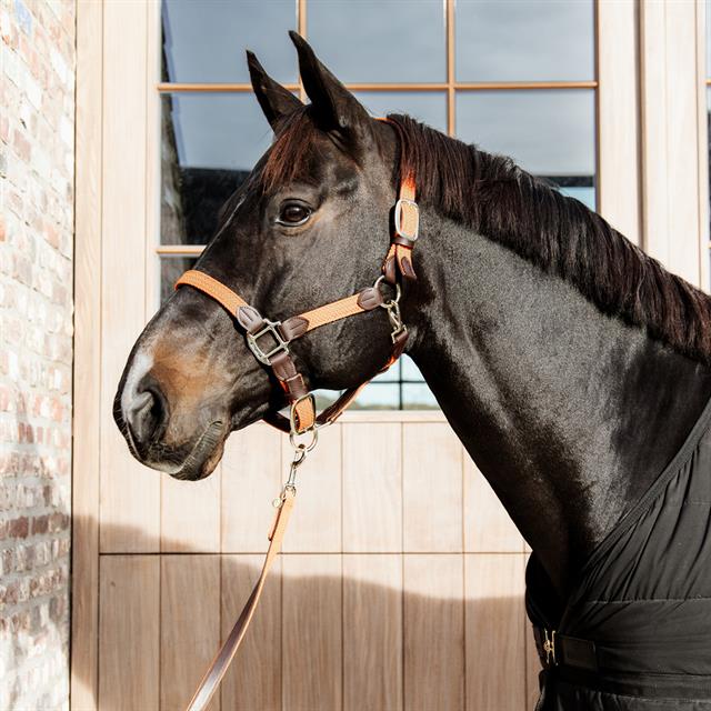 Lead Rope Kentucky Plaited Orange