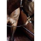 Lead Rope Silicone Kentucky Black