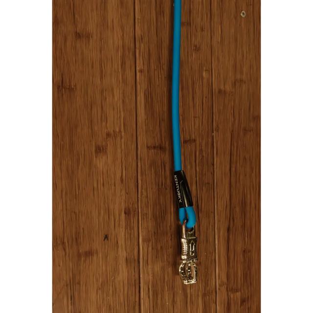 Lead Rope Silicone Kentucky Blue