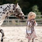 Leadrope Human&Horse By Greetje Hakvoort Brown