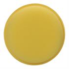Leather Care Sponge Epplejeck Yellow