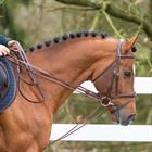 Leather Draw Reins Dy'on New English Huntergrip Brown