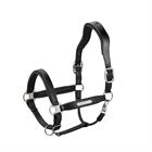 Lederhalfter Stallion Eskadron Black