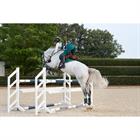 Leg Protectors Kingsland KLNora Green