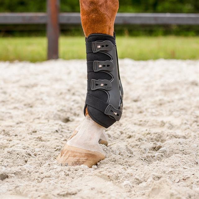 Leg Protectors QHP Champion Front Black
