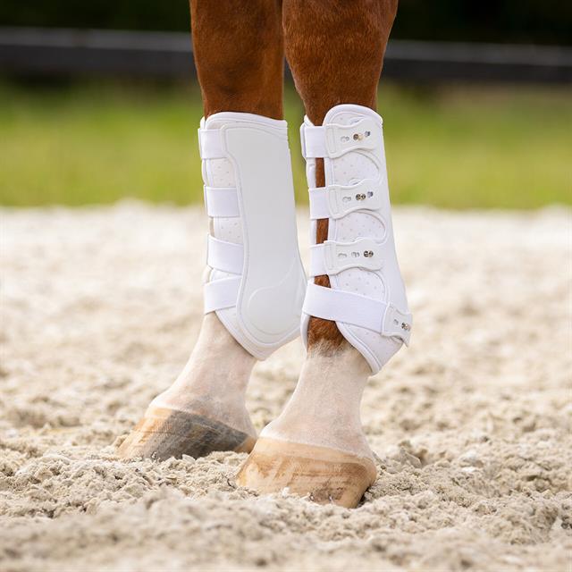 Leg Protectors QHP Champion Front White