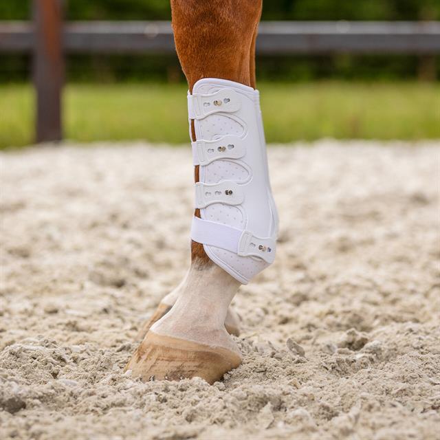 Leg Protectors QHP Champion Front White