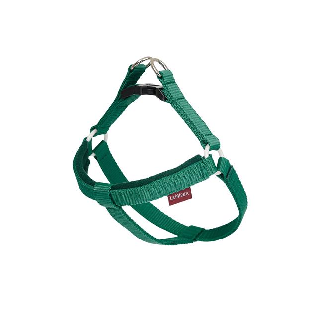 Leine Toy Dog LeMieux Green