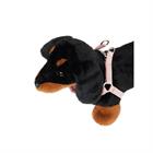 Leine Toy Dog LeMieux Light Pink